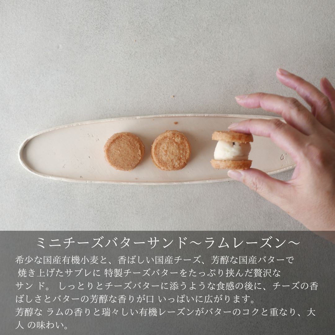 ミニチーズバターサンド ーラムレーズンー　24袋【卸売会員向け】