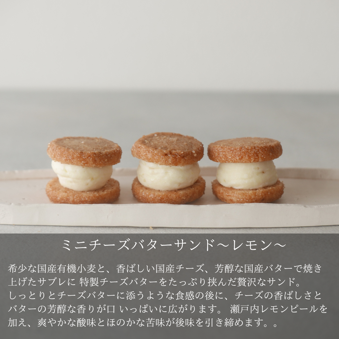 ミニチーズバターサンド ーレモンー　24袋【卸売会員向け】