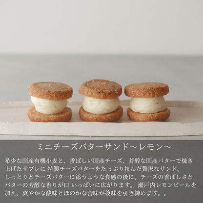 ミニチーズバターサンド ーレモンー　24袋【卸売会員向け】