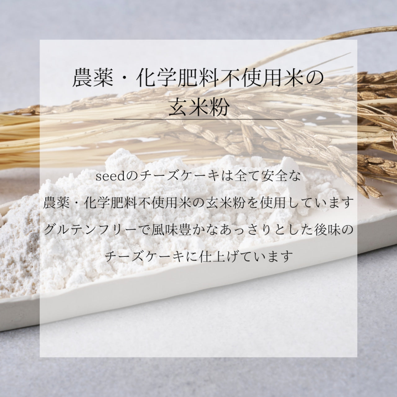 プレミアムseedチーズケーキ グルテンフリー