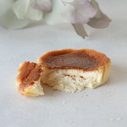 【お中元 送料半額】地球に優しいチーズケーキ７個セット