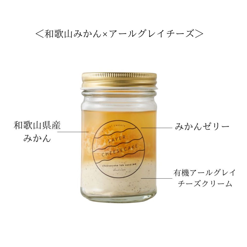 【OUTLET】レイヤーチーズケーキ 涼 ＜和歌山みかん×アールグレイチーズ＞
