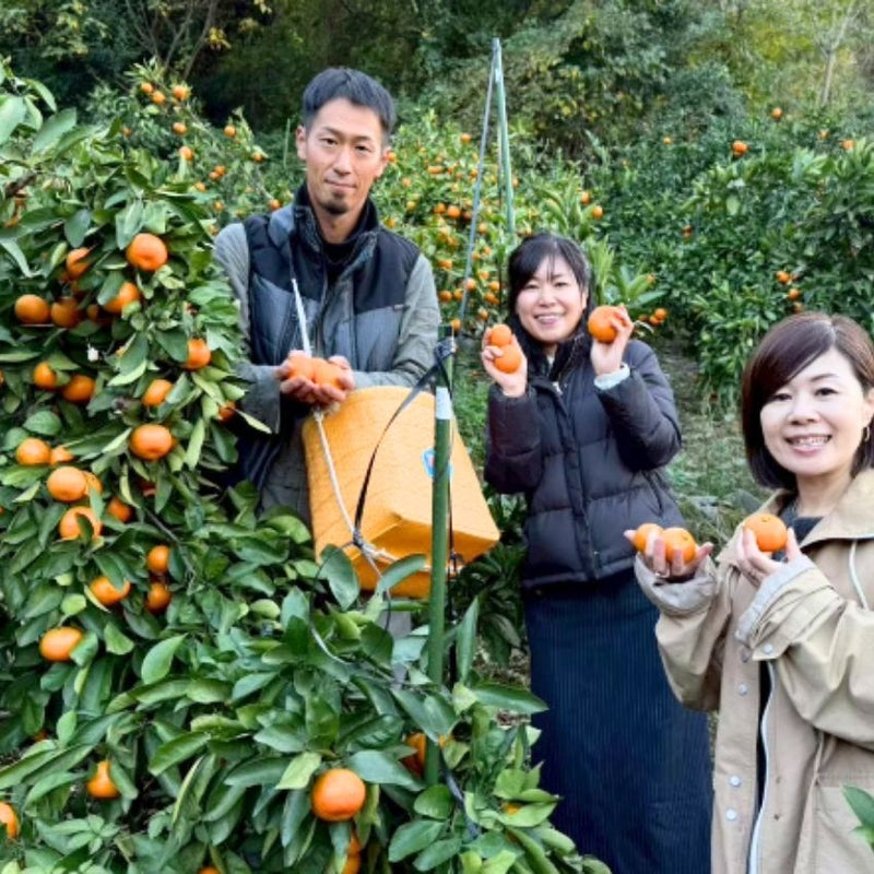 八つ葉農園さんの和歌山県みかん畑
