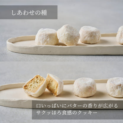 エシカルコレクション【L】  ギフト