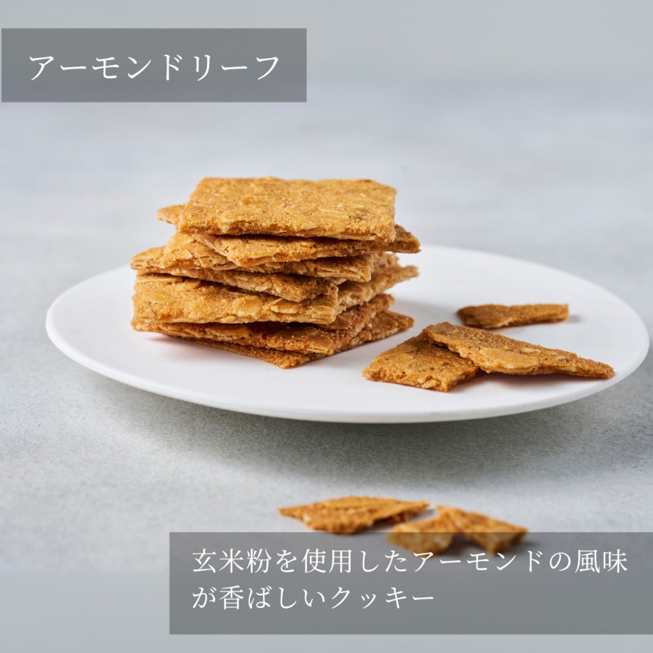 エシカルコレクション【L】  ギフト