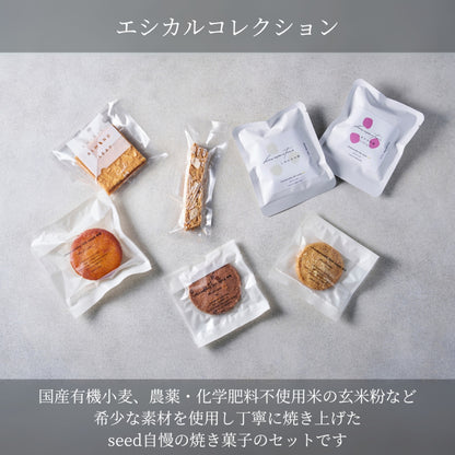 エシカルコレクション【S】  ギフト