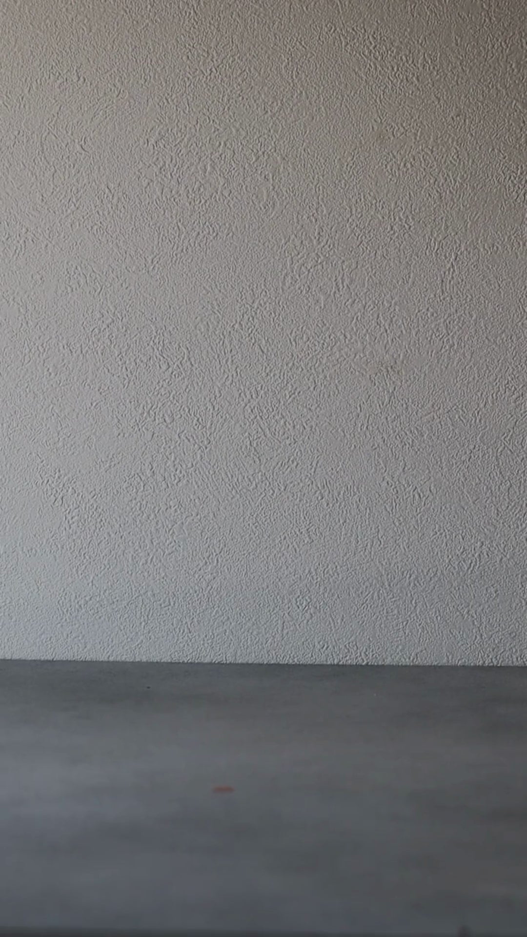 動画を読み込む: 