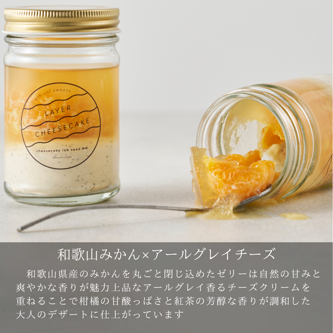 【OUTLET】レイヤーチーズケーキ 涼 ＜和歌山みかん×アールグレイチーズ＞