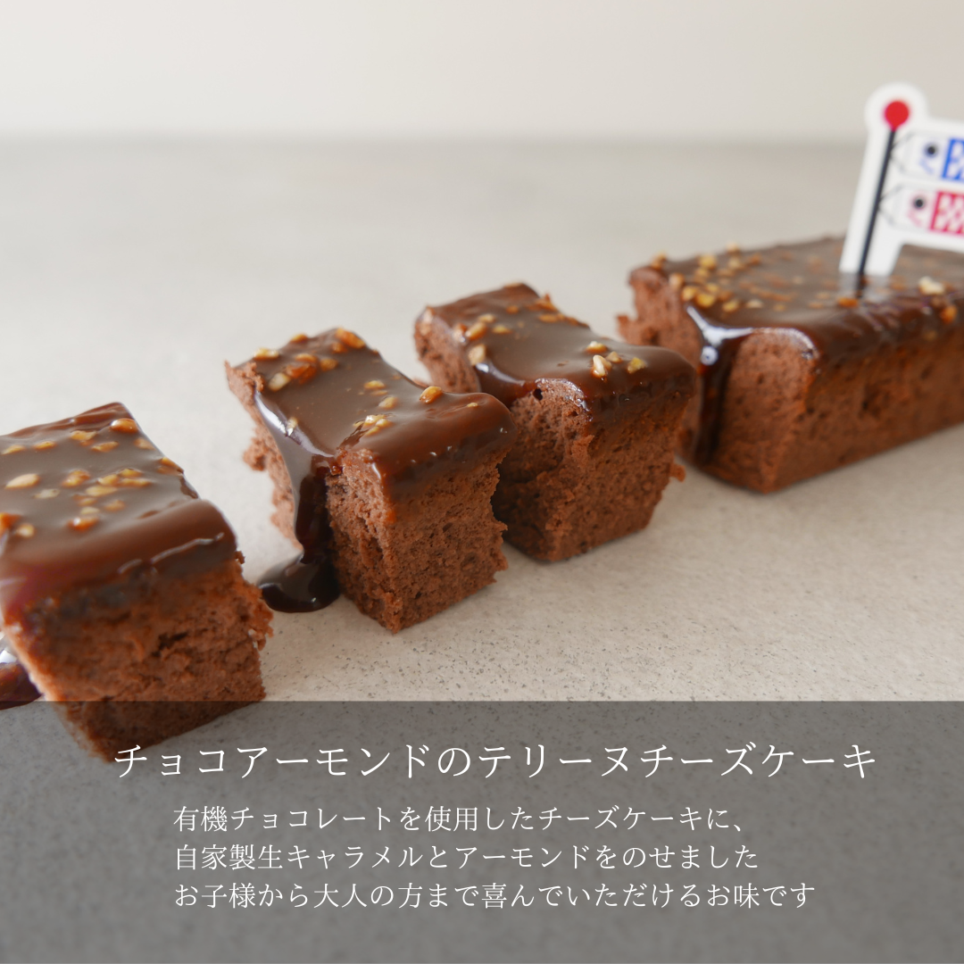【OUTLET】チョコアーモンドのテリーヌチーズケーキ