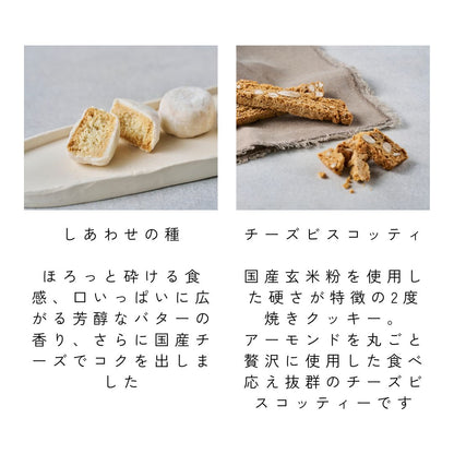 【送料無料】お試しセット バスク3種 レイヤーチーズケーキ クッキー瓶
