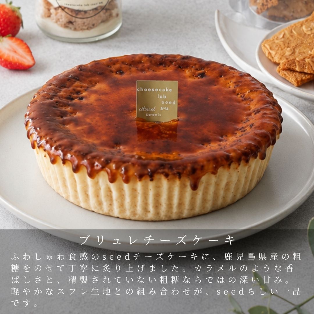 【送料無料】お試しセット ブリュレチーズケーキ・レイヤーチーズケーキ・はしっこMIXクッキー