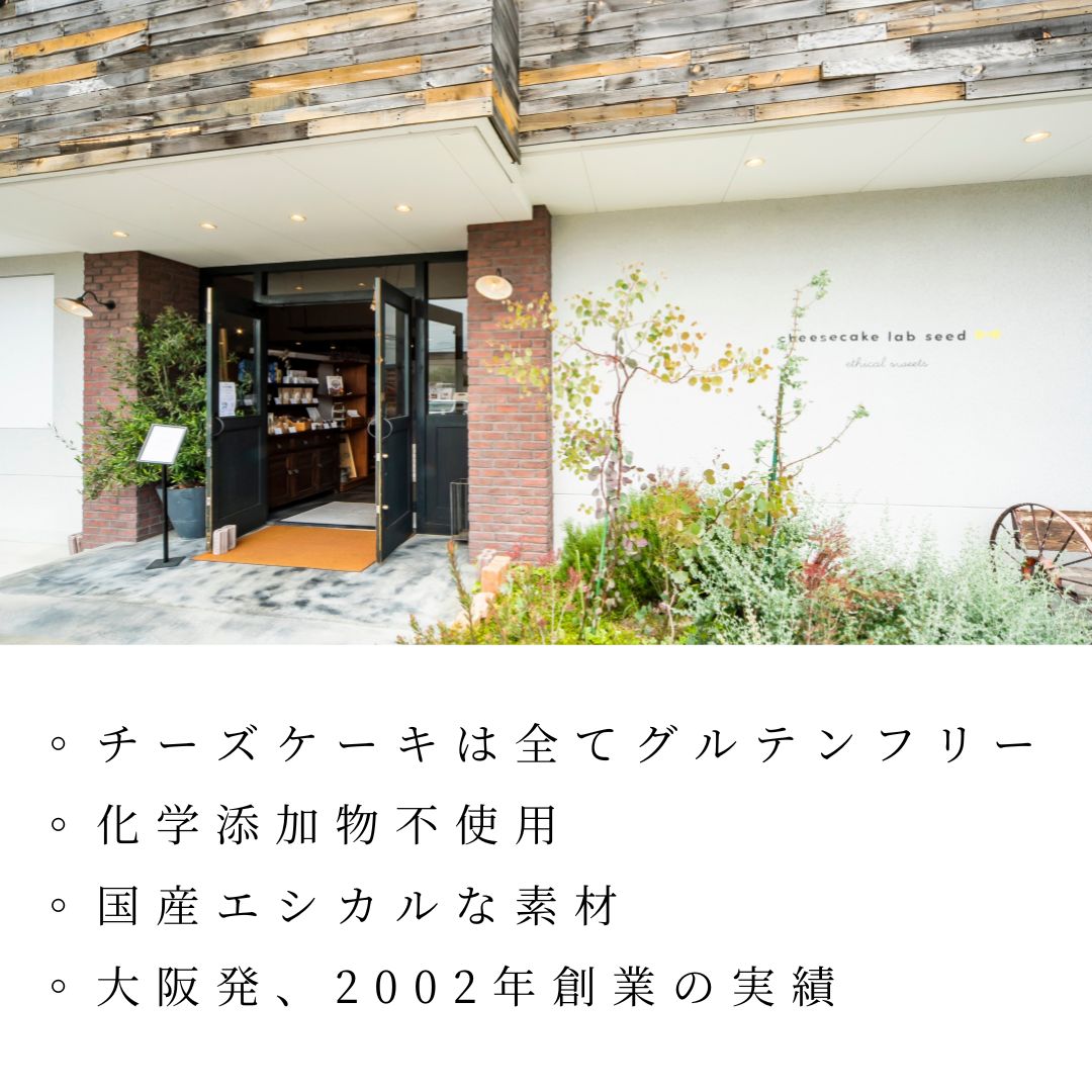 【送料無料】お試しセット ブリュレチーズケーキ・レイヤーチーズケーキ・はしっこMIXクッキー